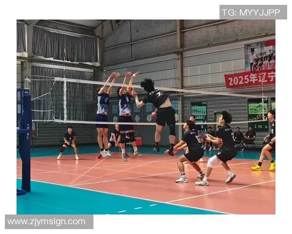 南京排球队在锦标赛中的默契配合与战术执行分析