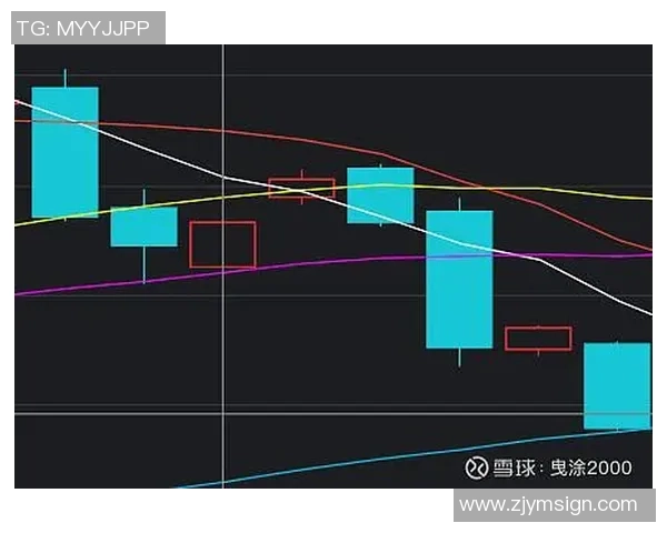 深入分析杭州排球队的防守策略与战术特点解析
